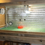 Kako vlastitim rukama napraviti brooder za prepelice